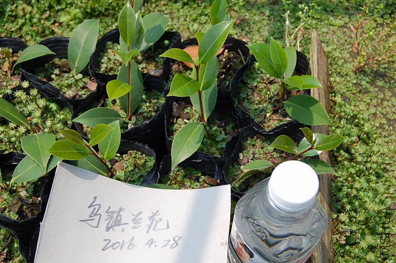 DSC_28780181.JPG