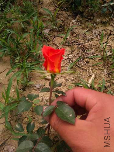 IMG20160428144319.jpg