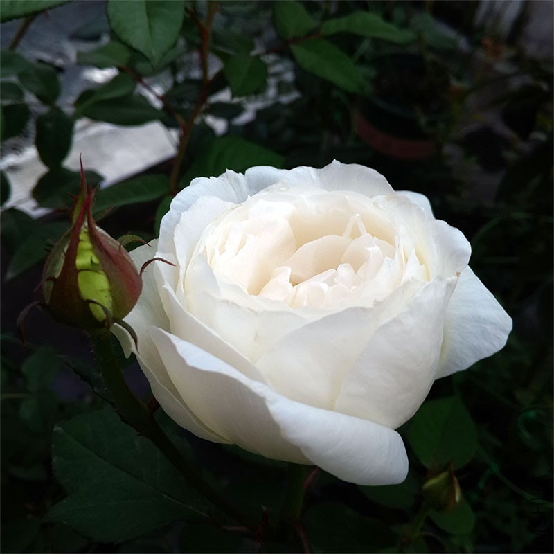 ����֮·2015��10��22��-1