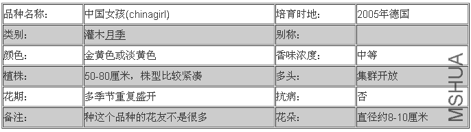 �й�Ů��(china girl).png