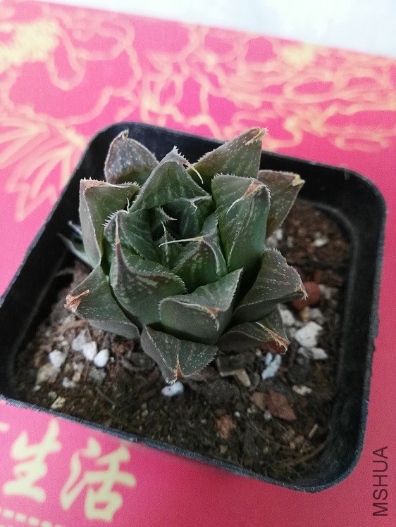 ������