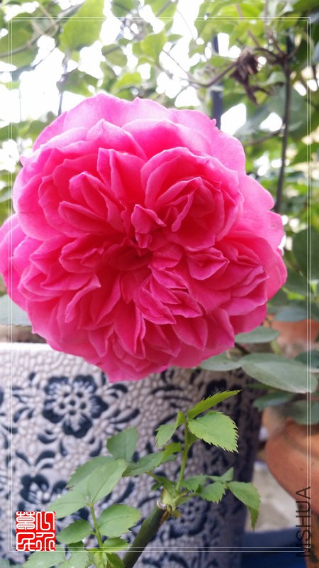 20160430_092519.jpg