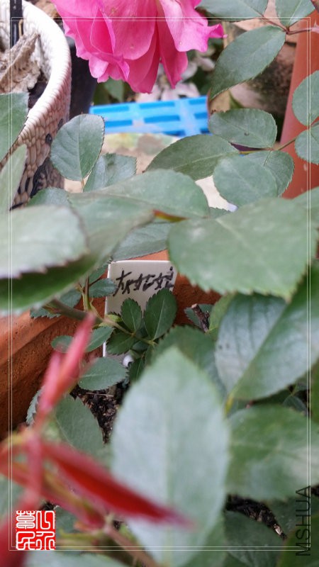 20160430_092541.jpg
