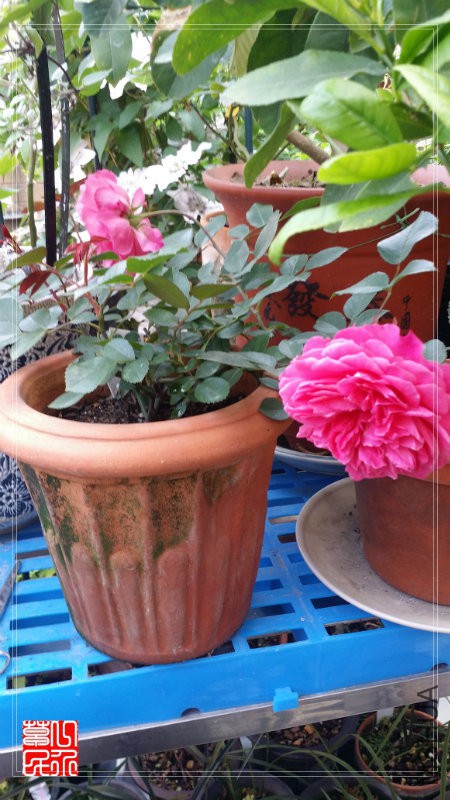 20160430_092604.jpg