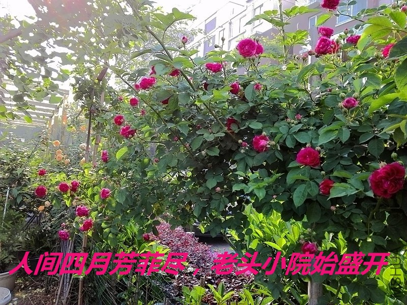 QQͼƬ20160501094836.jpg