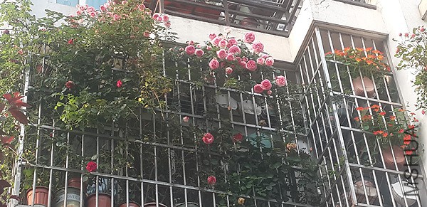�ҵ�����2016-0.jpg