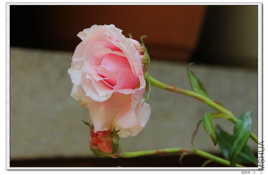 2016050107.jpg