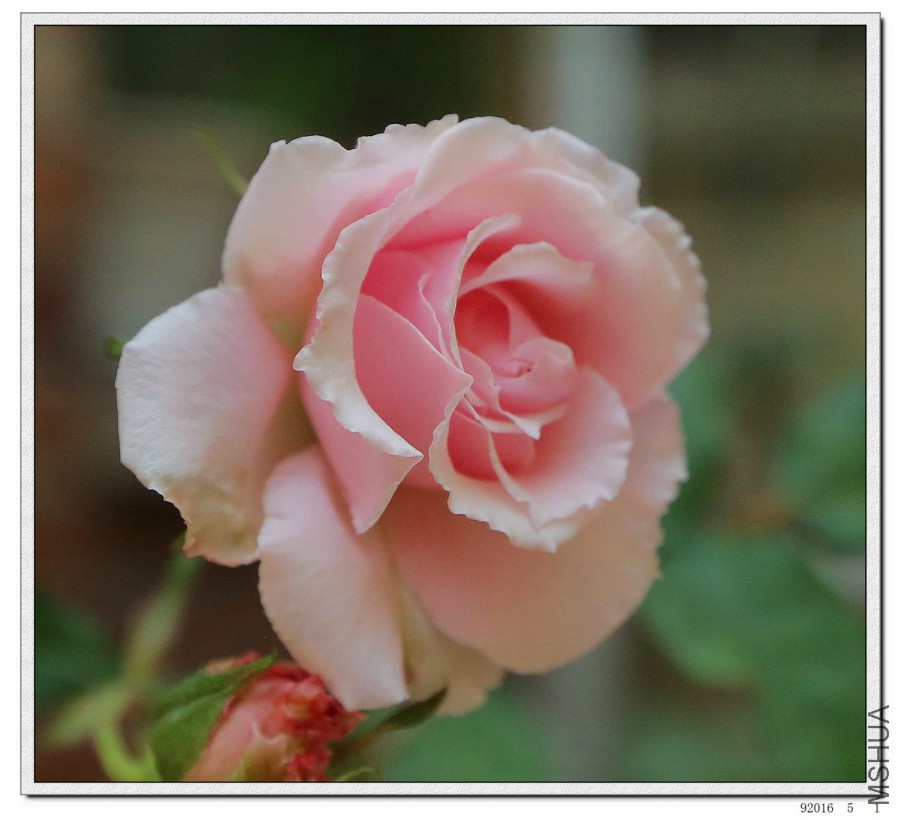 2016050104.jpg
