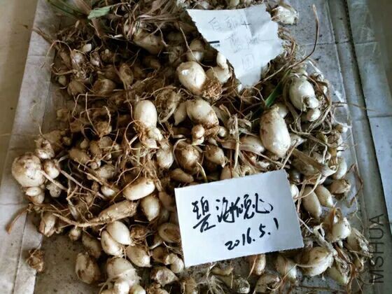 QQͼƬ20160501191036.jpg