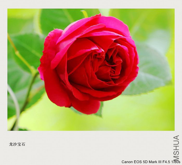 2016050110.jpg