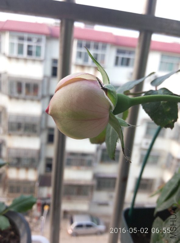 P60502-065525.jpg