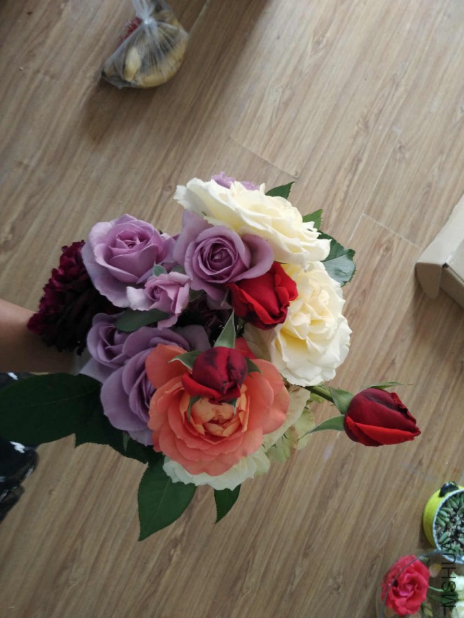 IMG_20160501_141649.jpg