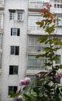 QQ��ͼ20160502132858.png
