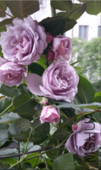 QQ��ͼ20160502132522.png