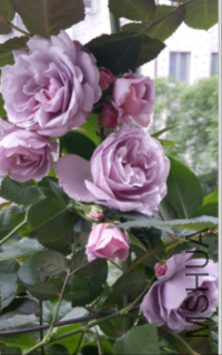 QQ��ͼ20160502132734.png