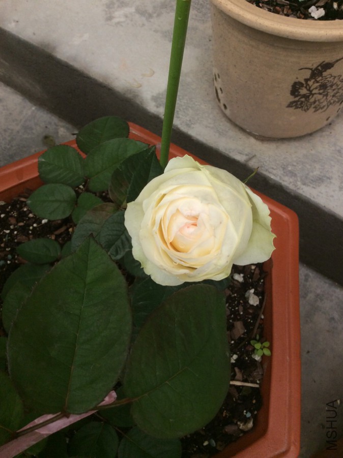 �ò�4.28��.JPG