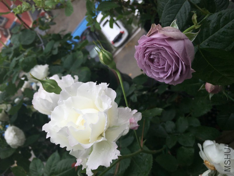 2016-05-02 124505.jpg