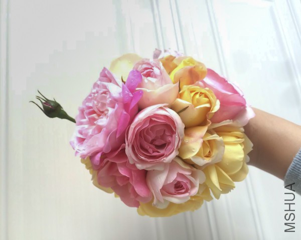 QQͼƬ20160502213513.jpg