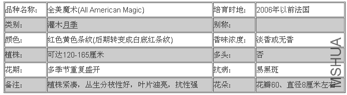 ȫ��ħ��(All American Magic).png