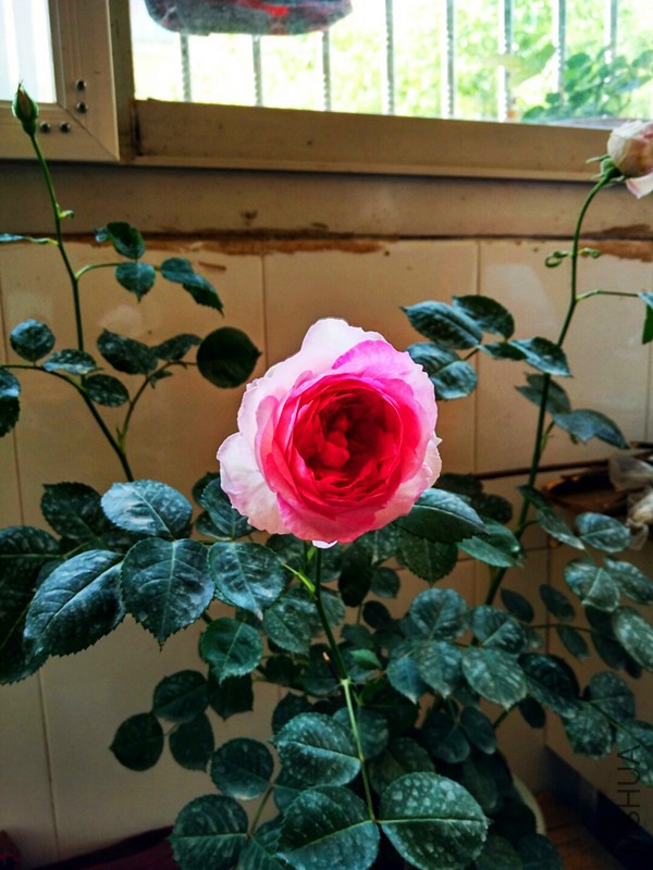 72f4d3e26e81fe88784cc4dfa1434ca0e8cbc9f6.jpg