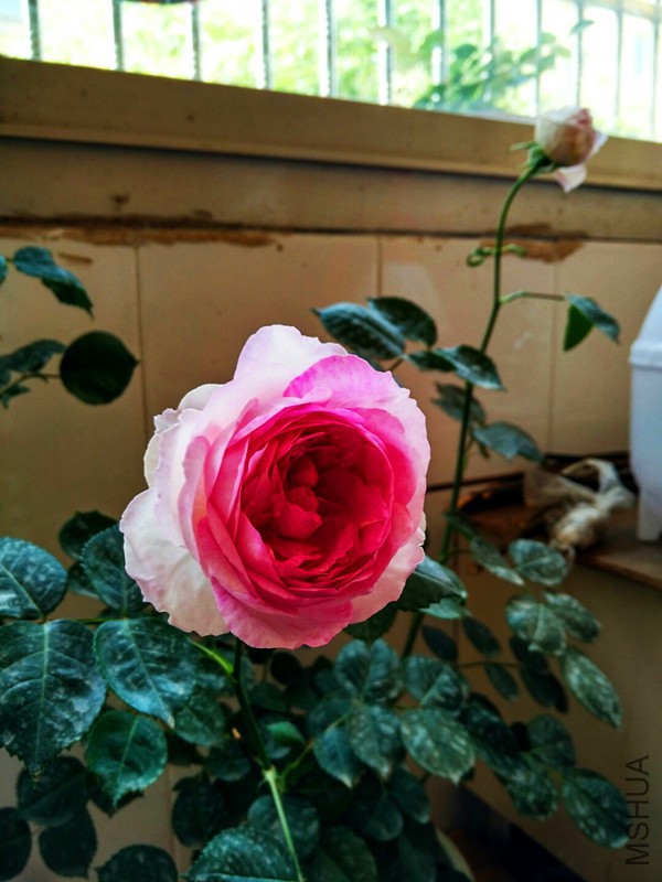 94064b5a0bc41569017e1457dd51dd00c158e4b4.jpg