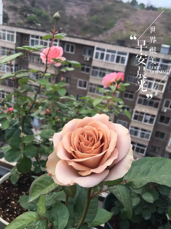 ʧ��