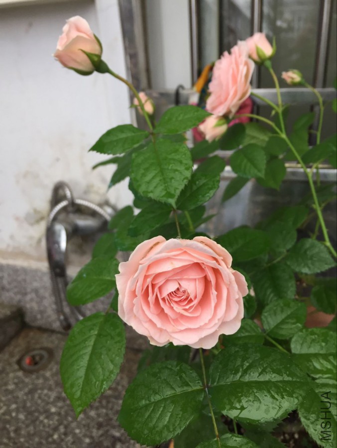QQͼƬ20160503102433.jpg