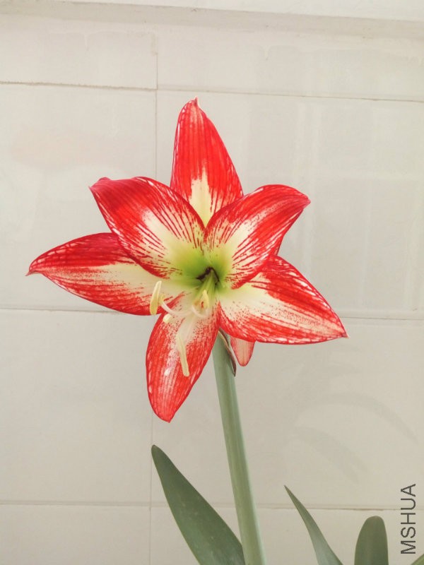 QQ图片20160503101234.jpg