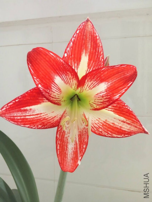 QQ图片20160503101315.jpg