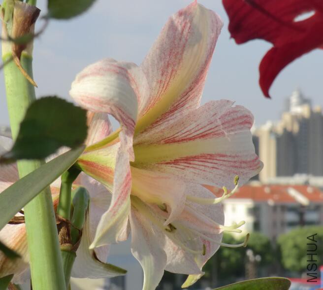 QQ��ͼ20160503111136.jpg