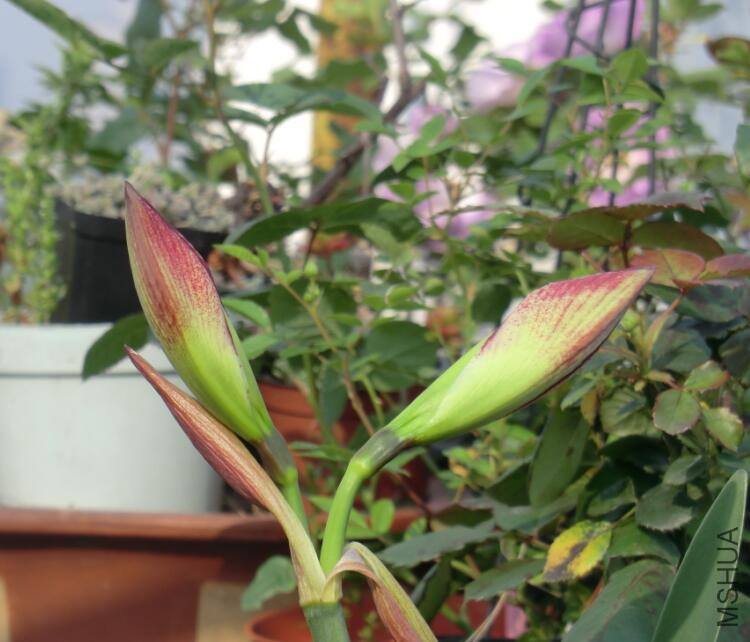 QQ��ͼ20160503103407.jpg