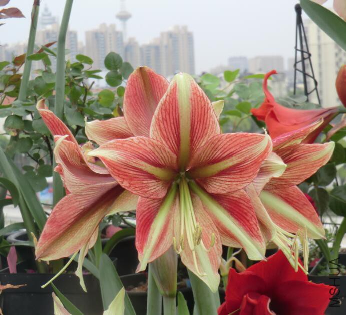 QQ��ͼ20160503104731.jpg