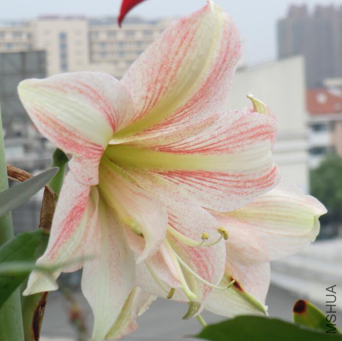 QQ��ͼ20160503105205.jpg