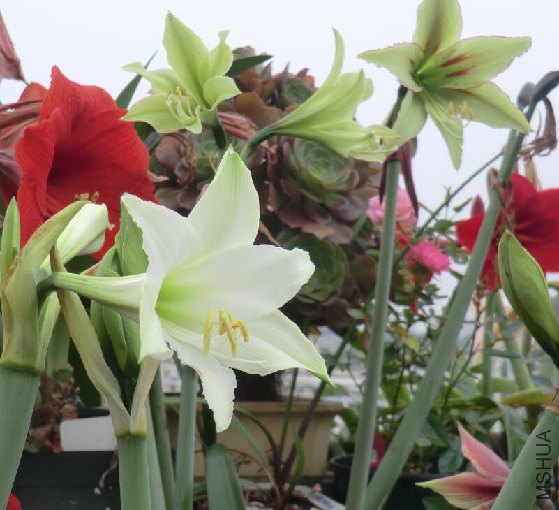 QQ��ͼ20160503105514.jpg