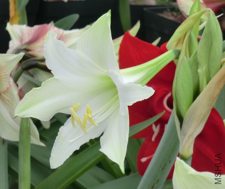 QQ��ͼ20160503105645.jpg