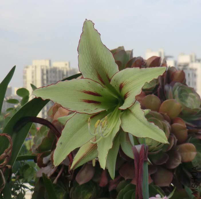 QQ��ͼ20160503105845.jpg