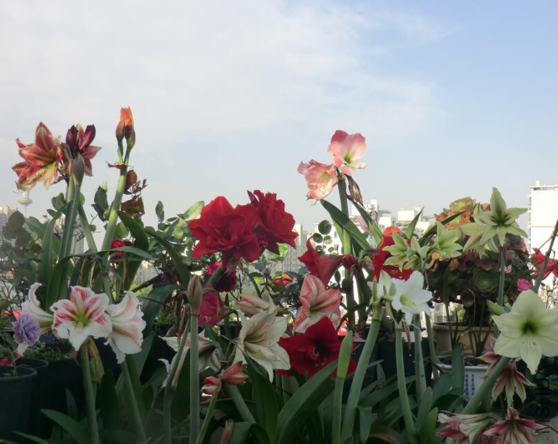 QQ��ͼ20160503110531.jpg