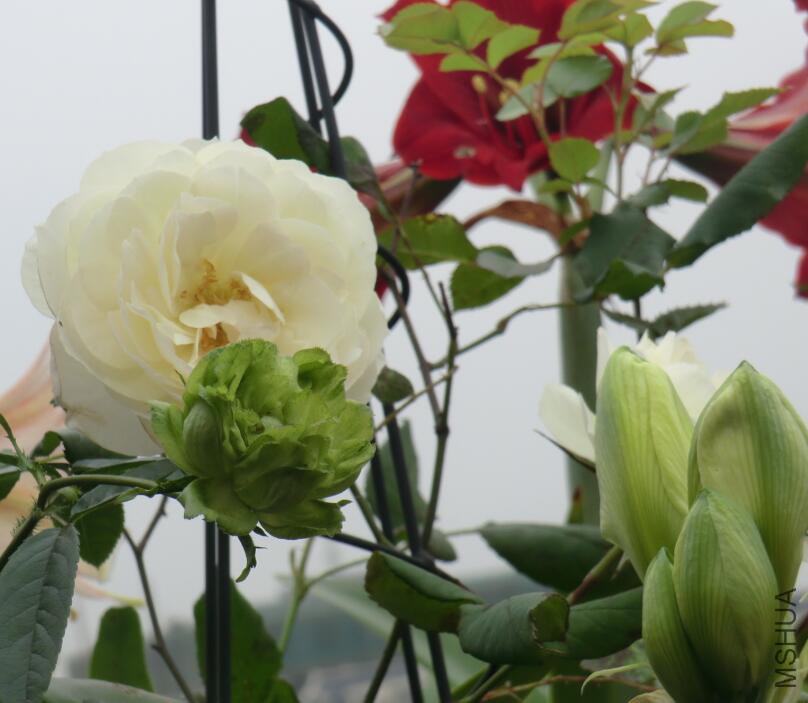 QQ��ͼ20160503105329.jpg