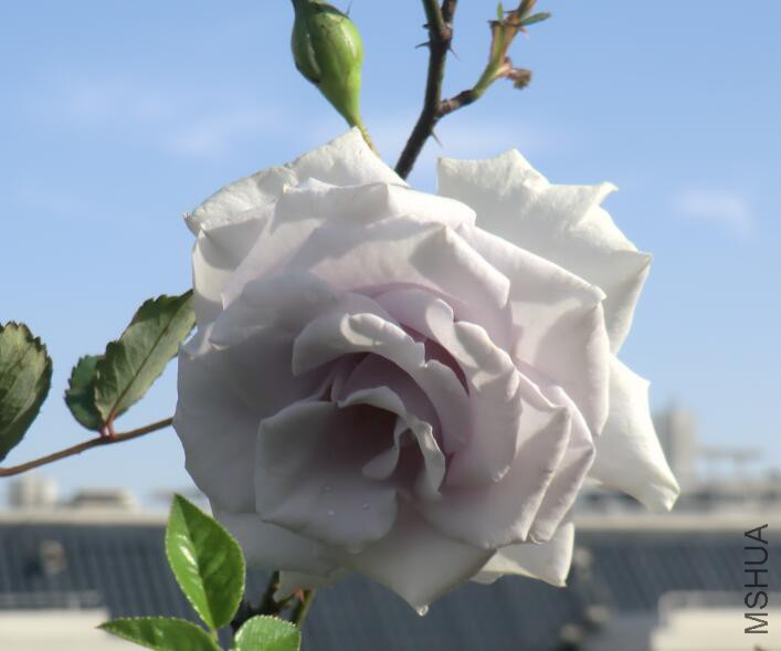 QQ��ͼ20160503110141.jpg