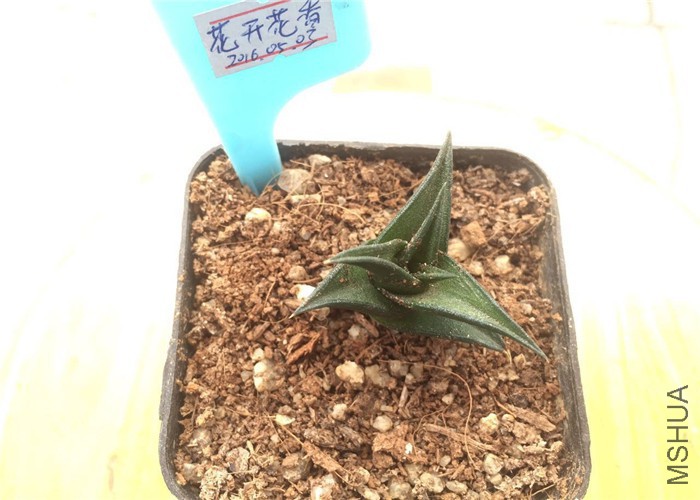mmexport1462254516957_����.jpg