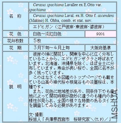 QQ��ͼ20160503165836.jpg