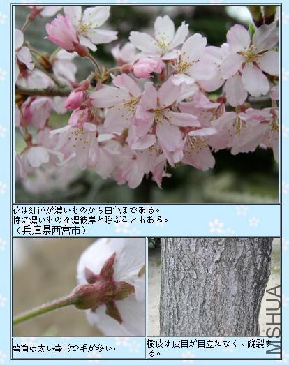 QQ��ͼ20160503165846.jpg