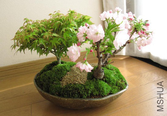 2014041817524632.jpg