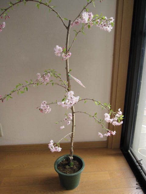img63272922.jpg