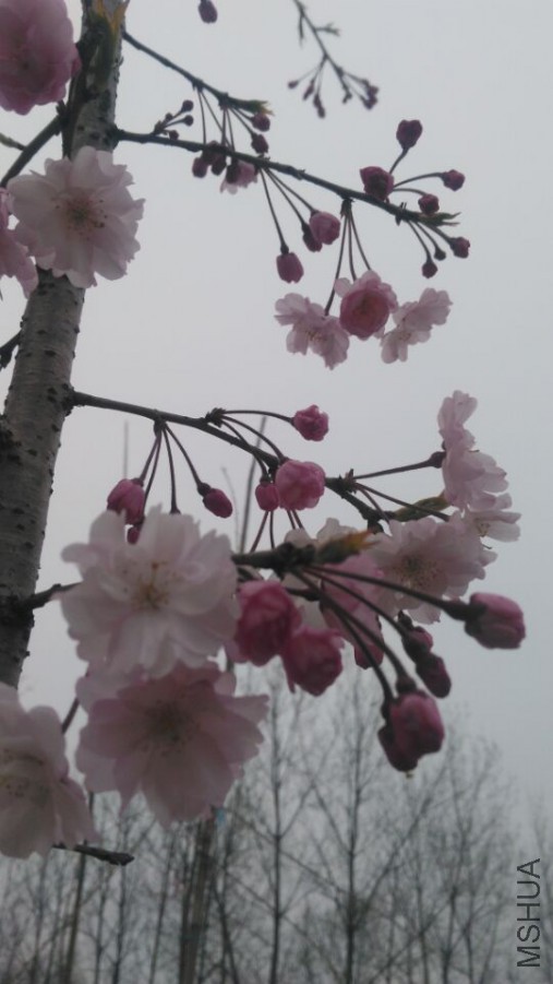 QQͼƬ20160502201016.jpg