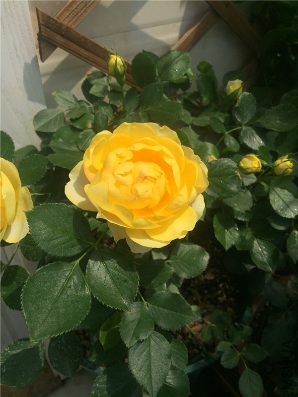 QQͼƬ20160503110948.jpg