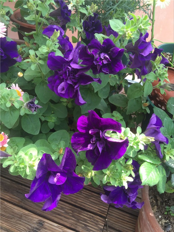 QQͼƬ20160503111004.jpg