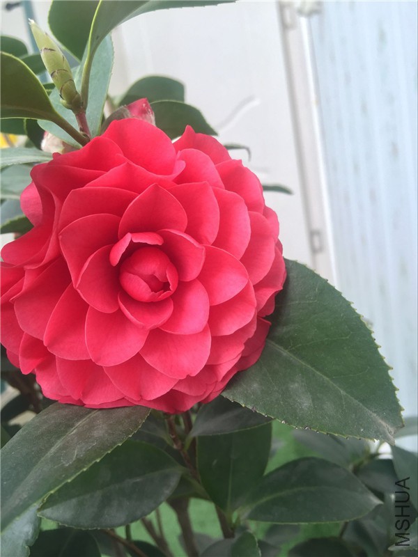 QQͼƬ20160503150321.jpg
