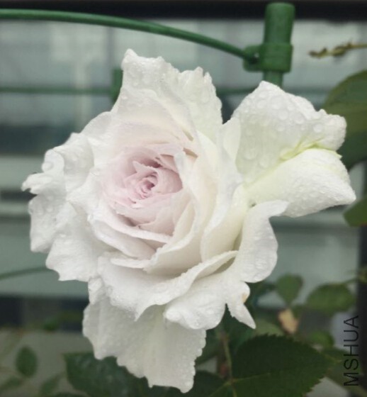 QQ��ͼ20160504100349.jpg