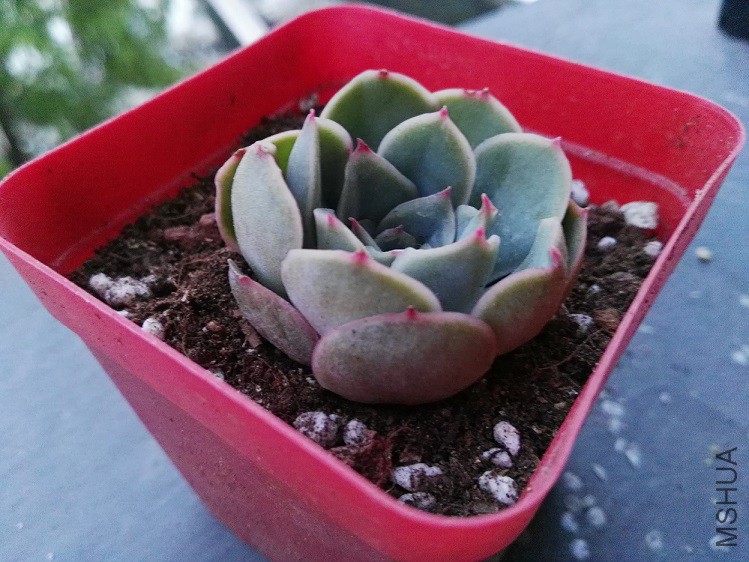 ������